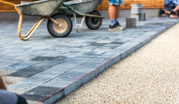 Best Driveway Paving Near Me  in Arapahoe, WY