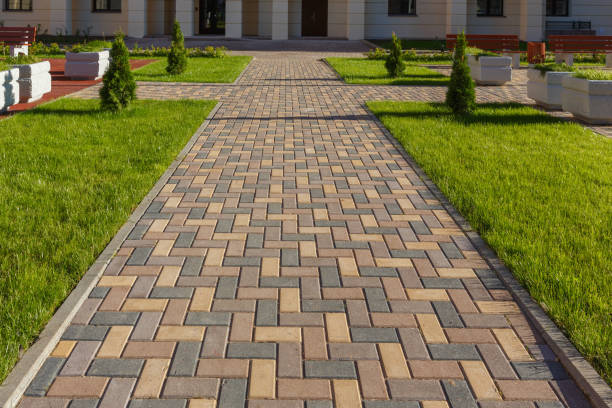 Best Driveway Paving Company  in Arapahoe, WY